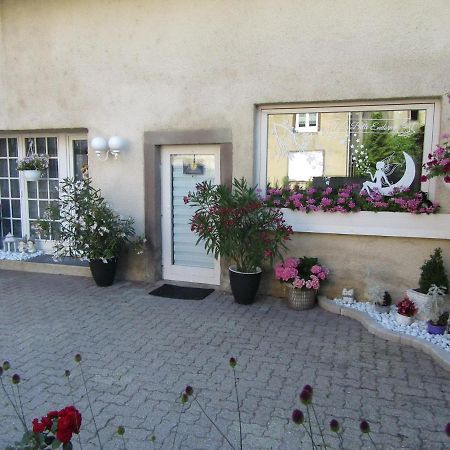La Belle Endormie - Appartement A Fenetrange Exterior photo